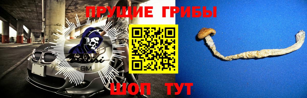 Где купить наркотики?  Метадон  Канабис  Вход с VPN  Кокаин  Меф МЯУ МЯУ  Гатчина  Меф МЯУ МЯУ  