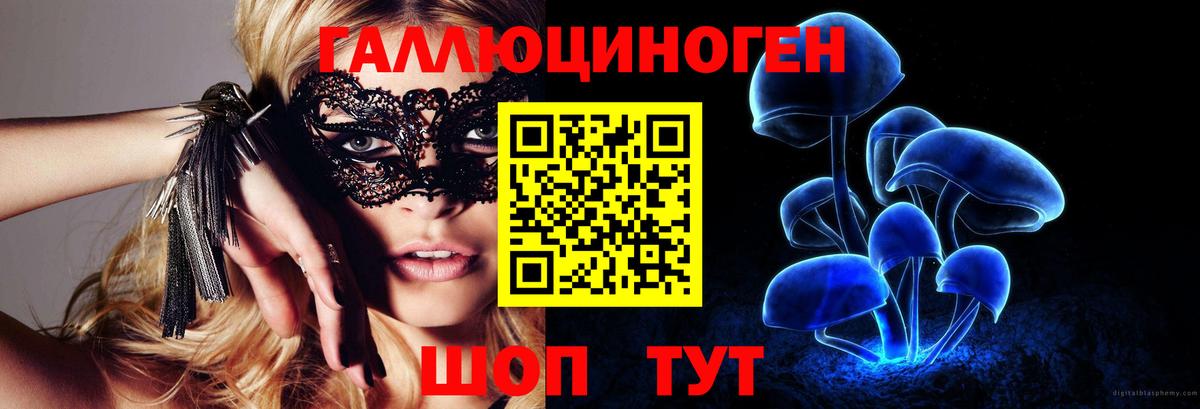 Галлюциногенные грибы Cubensis  Вход с VPN  Псилоцибиновые грибы GOLDEN TEACHER  Гатчина 